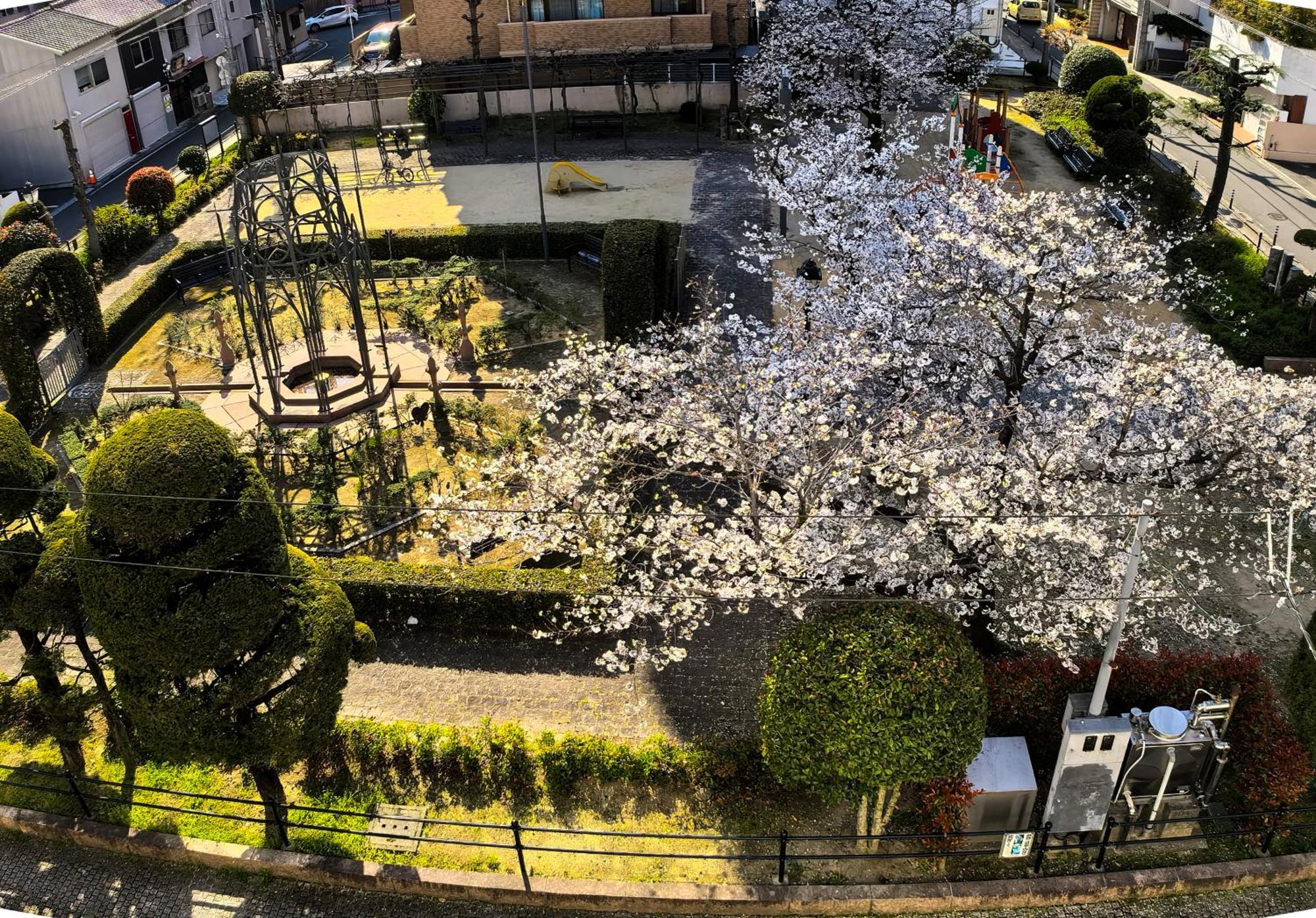 媛楽園 松山中心地及び道後温泉に近い家族やグループ旅行の多人数が泊まれる快適な宿 Exterior foto